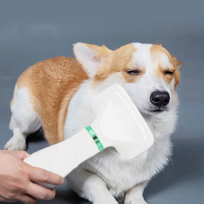 PawsDry Pro: cepillo y secador para mascotas